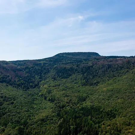 Pod Szczelincem Chalet *