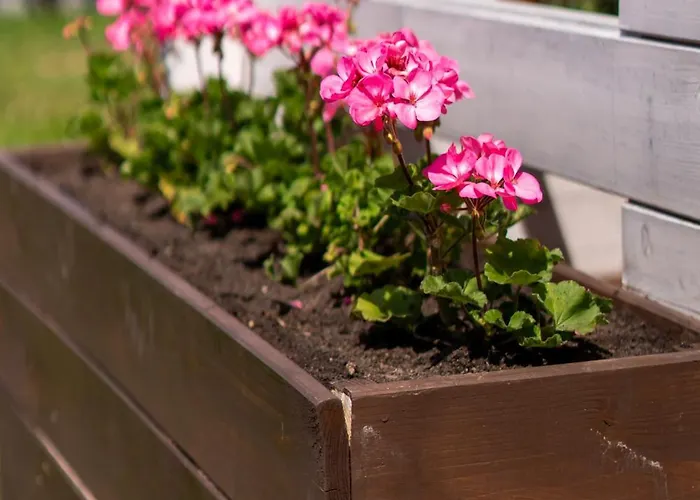 Pod Szczelincem 라트코프