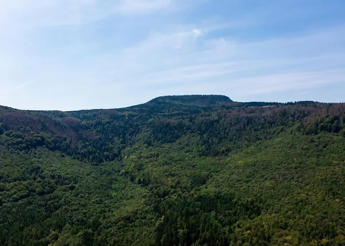 Pod Szczelincem 샬레 *